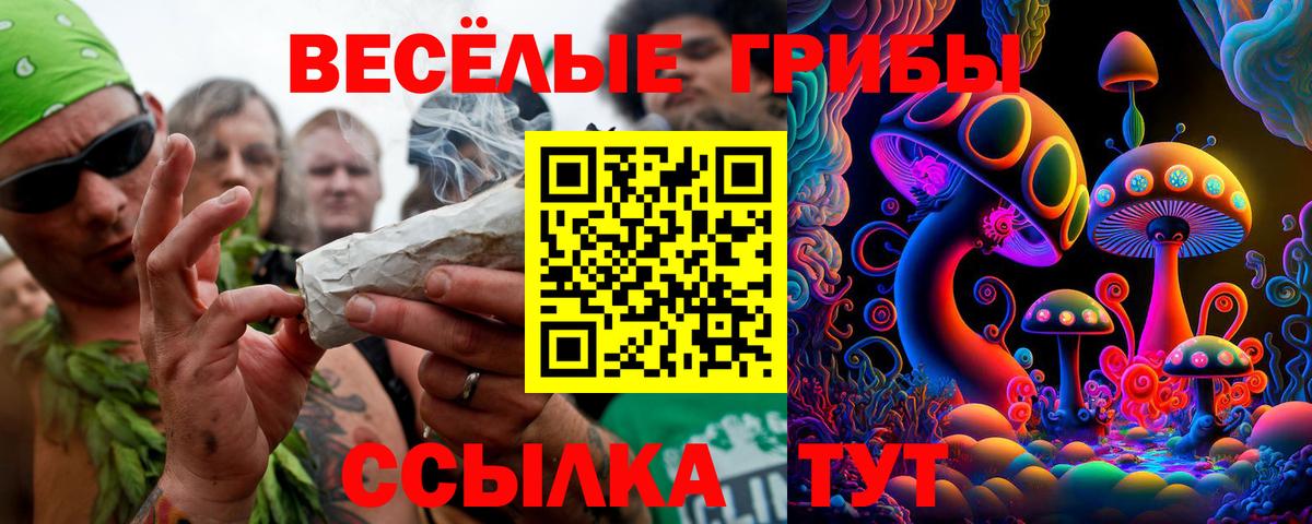 Галлюциногенные грибы Psilocybine cubensis Конаково